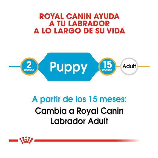 Royal Canin Puppy Labrador Retriever pienso para perros, , large image number null